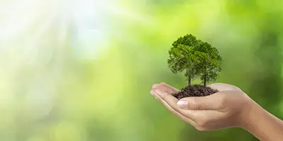 foto ilustrativa serviços ambientais